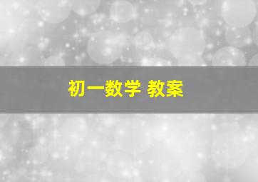 初一数学 教案